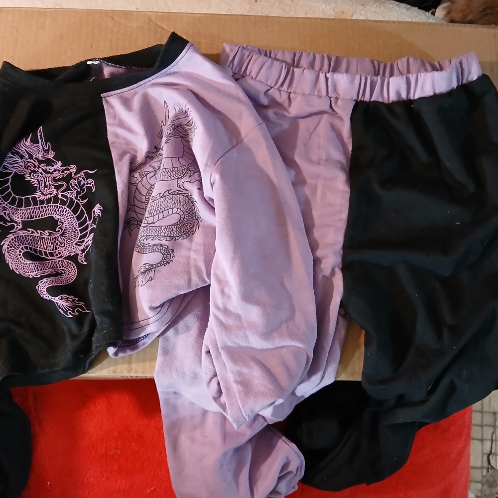 Purple and Black Dragon Print Outfit